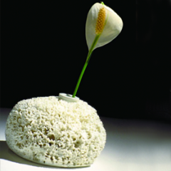 Marcel Wanders Sponge Vase, 1997 Photo Credit: Maarten van Houten